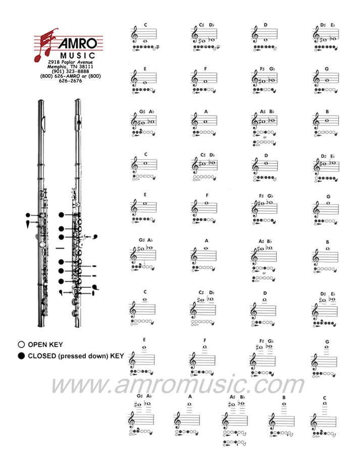 Original AMRO Flute Fingering Chart